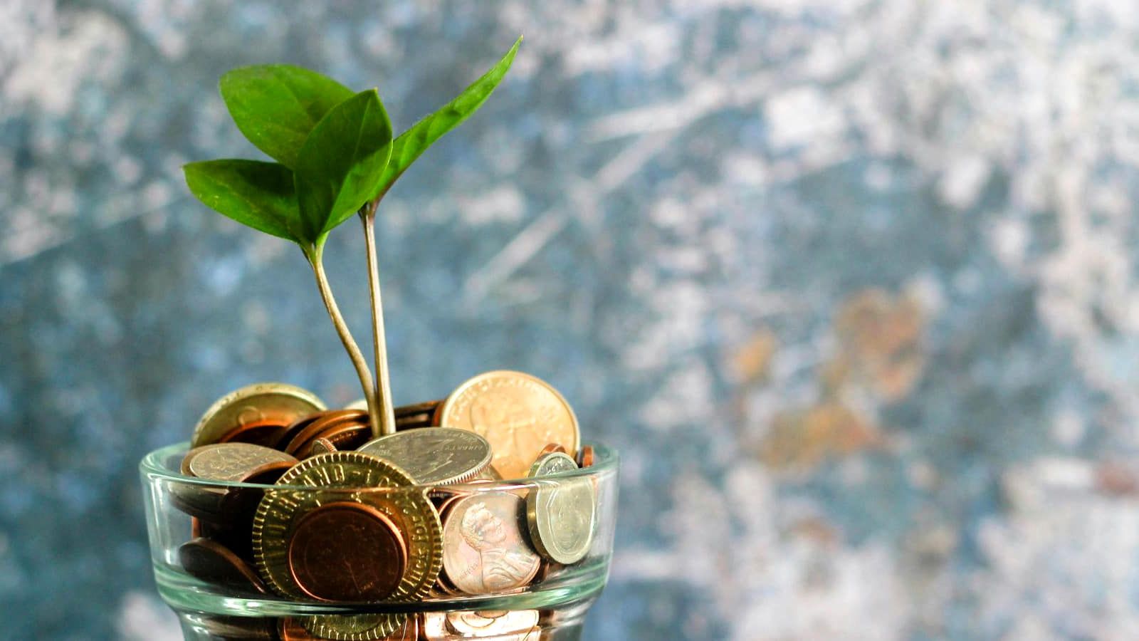 How Rich Do You Have to Be for a Prenup?