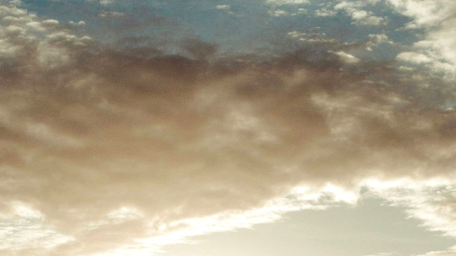 Neptune vs Trusted Prenup: Features, Pricing, Pros and Cons