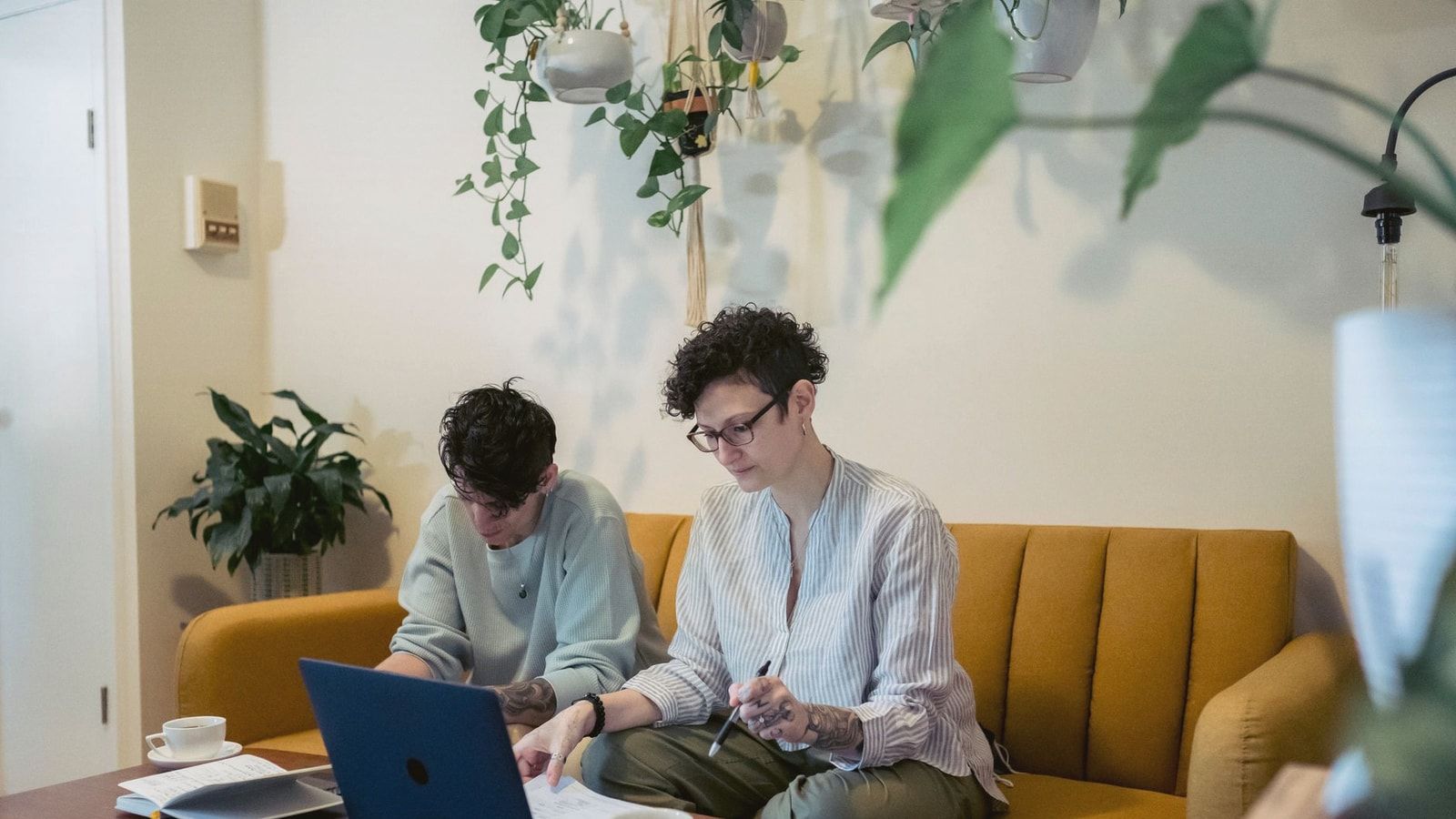 Concentrated young tattooed female freelancers with short dark hair in casual clothes sitting on comfortable sofa and working remotely on laptop