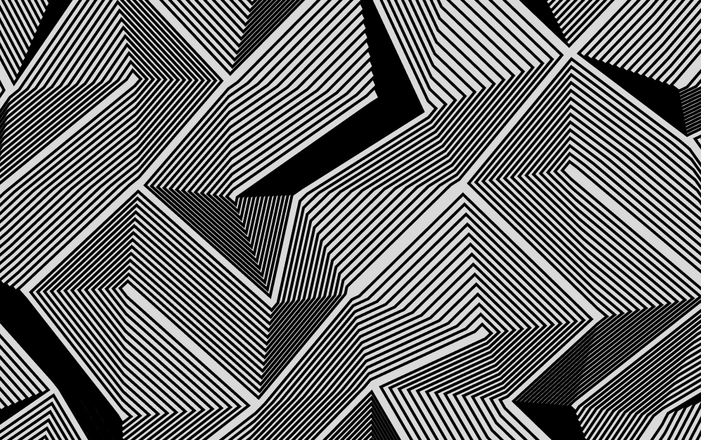 Angled lines moving around a grid who's points are offset randomly.