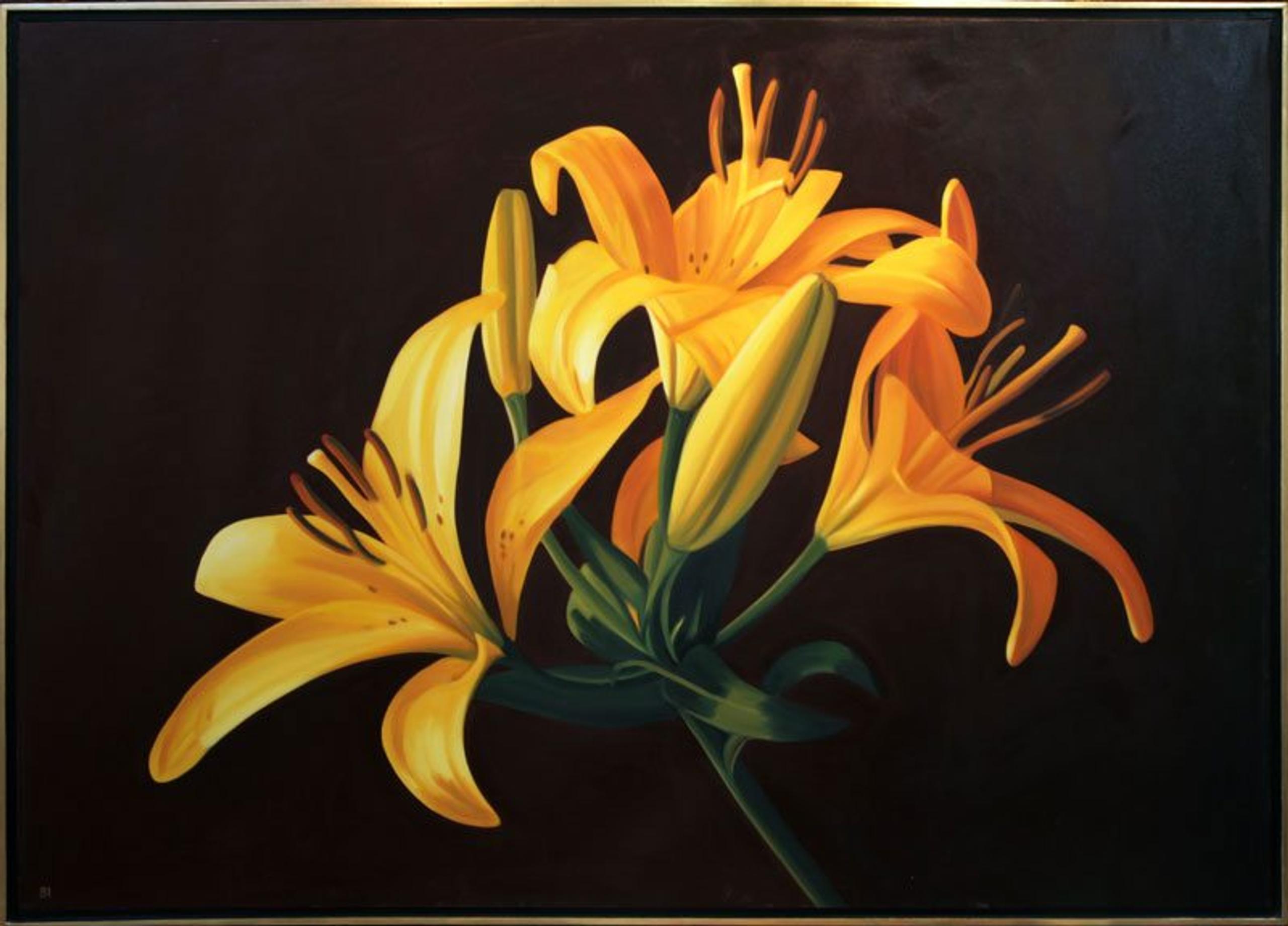 Yellow Water Lilly #2