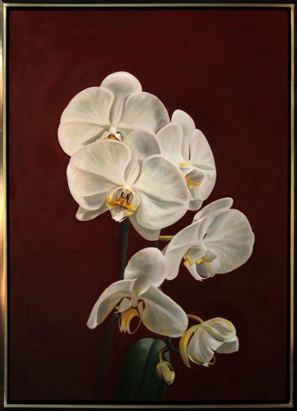 Orchid #2
