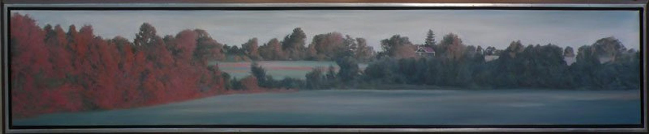 Panoramic #21