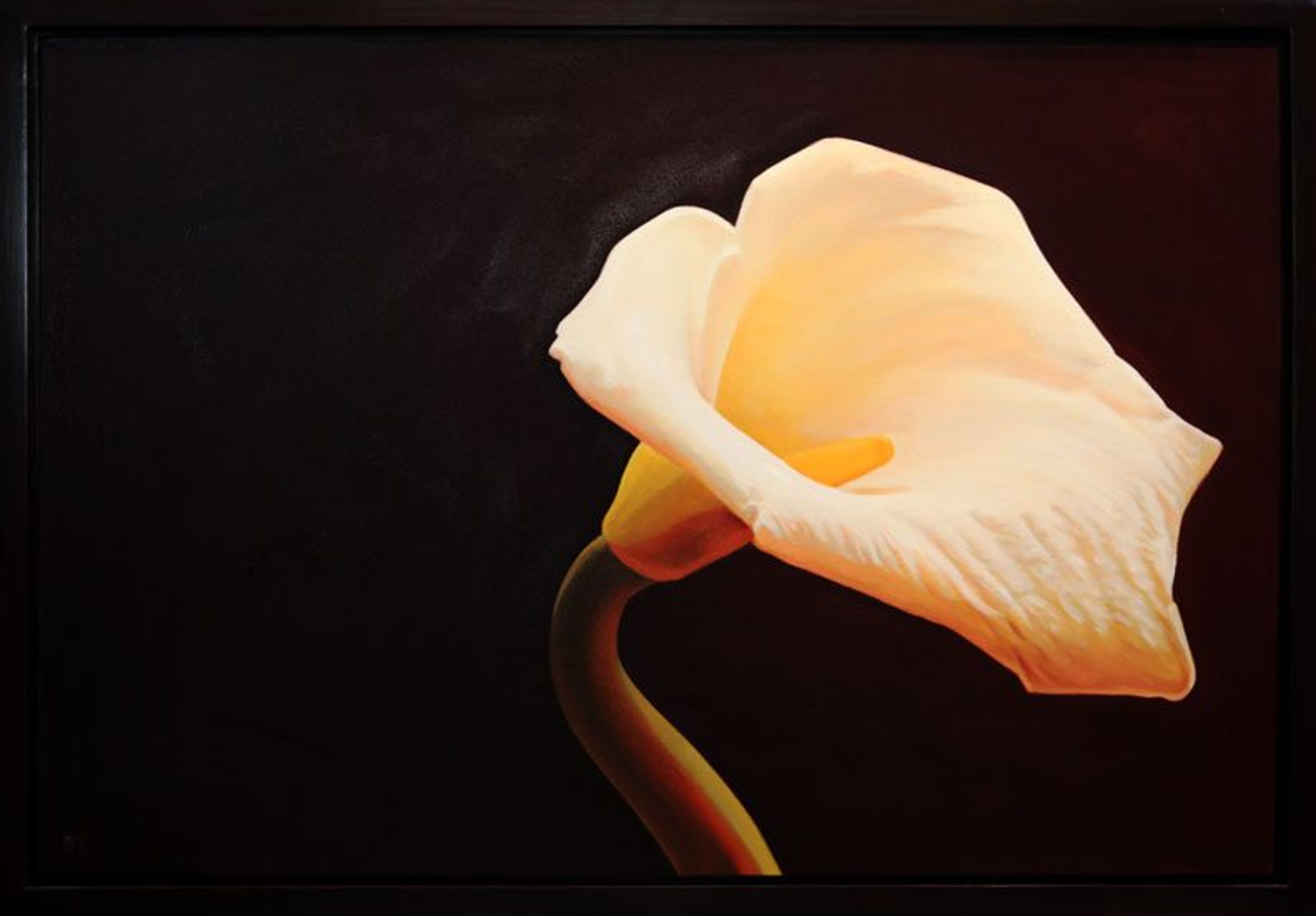 Lily #2 — oil painting by Brock Irwin