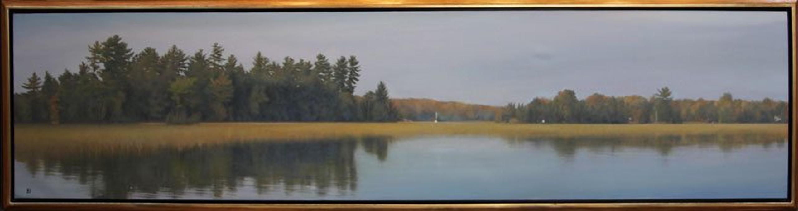 Panoramic Long #2