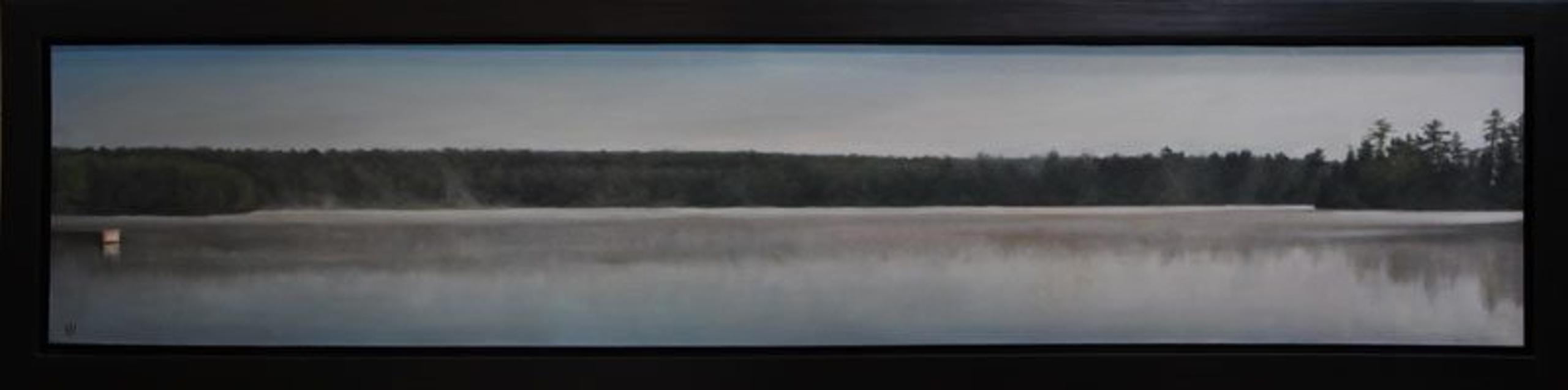 Panoramic #51