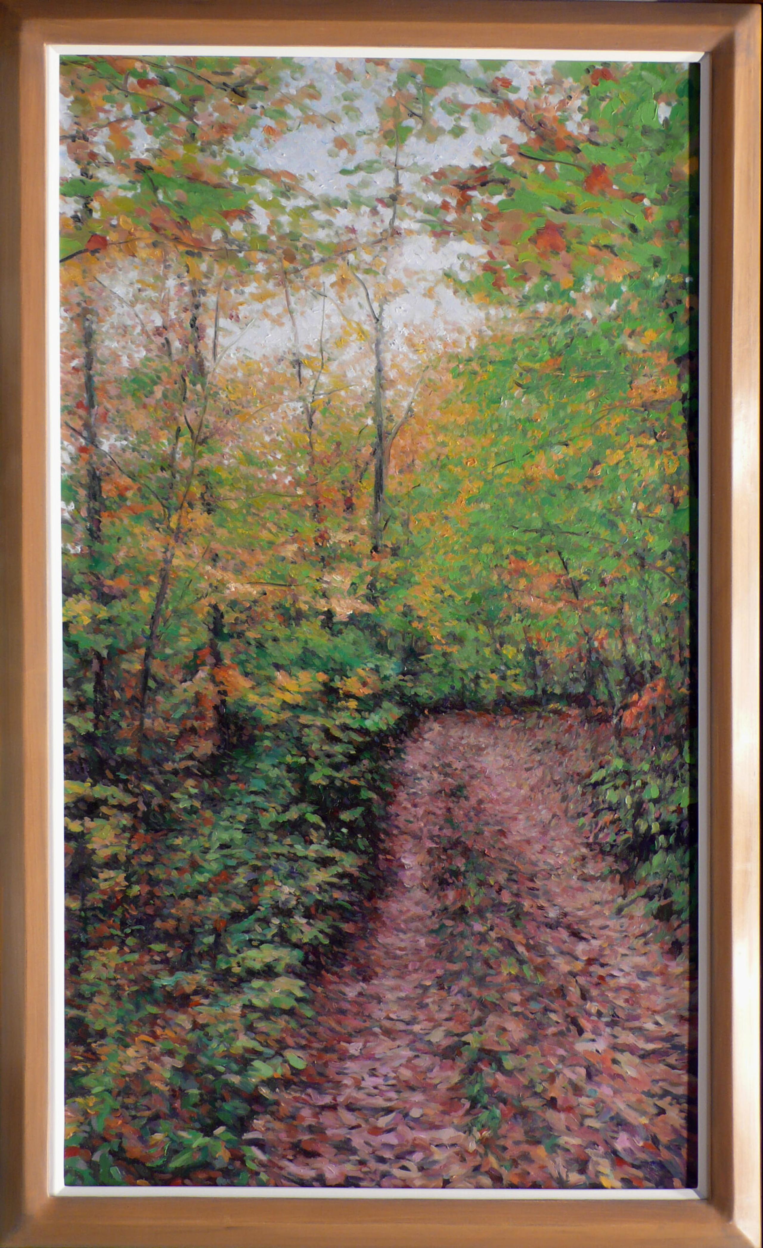 Fall Walk