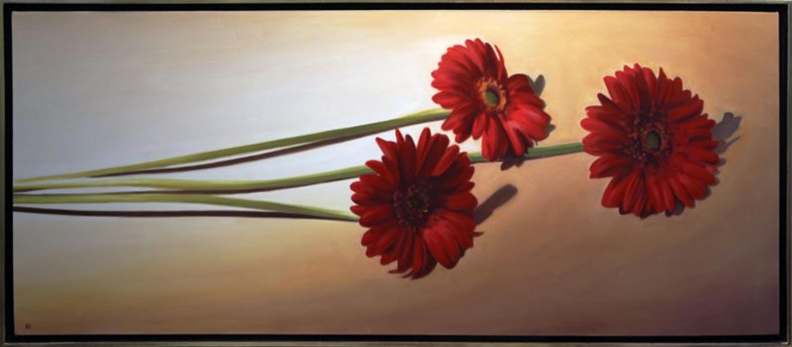 3 Red Daisies