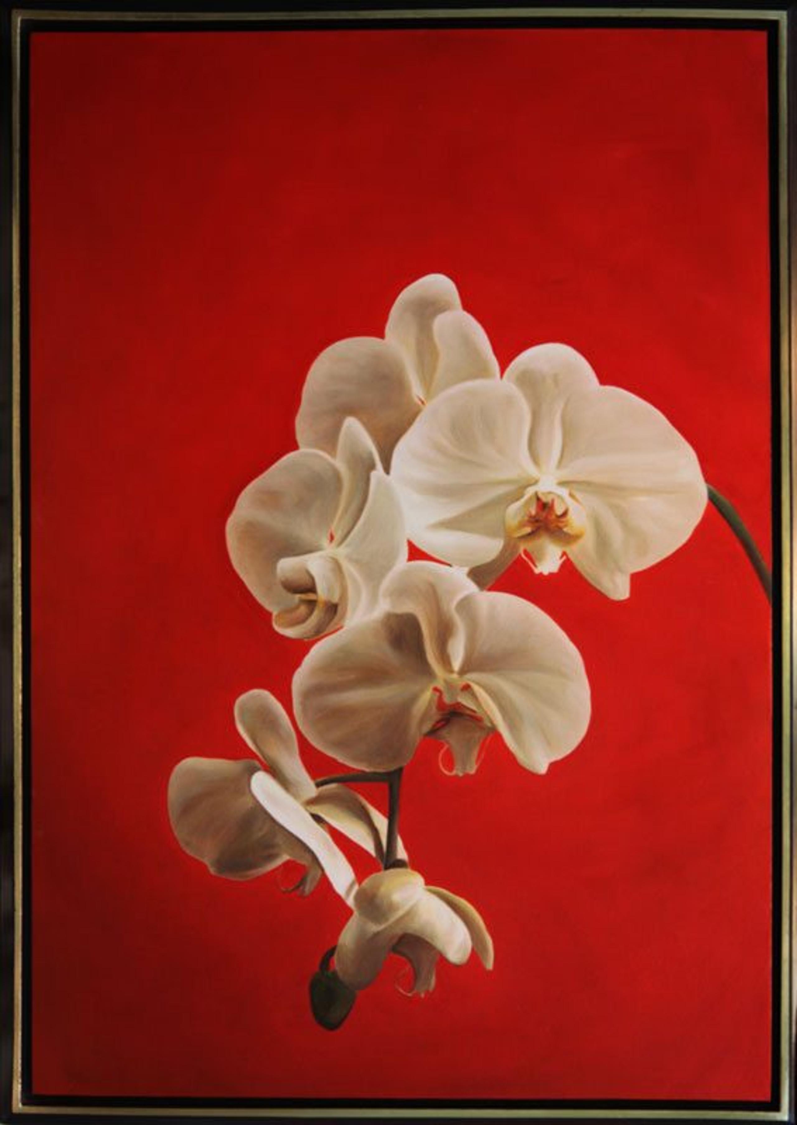 Orchid #1