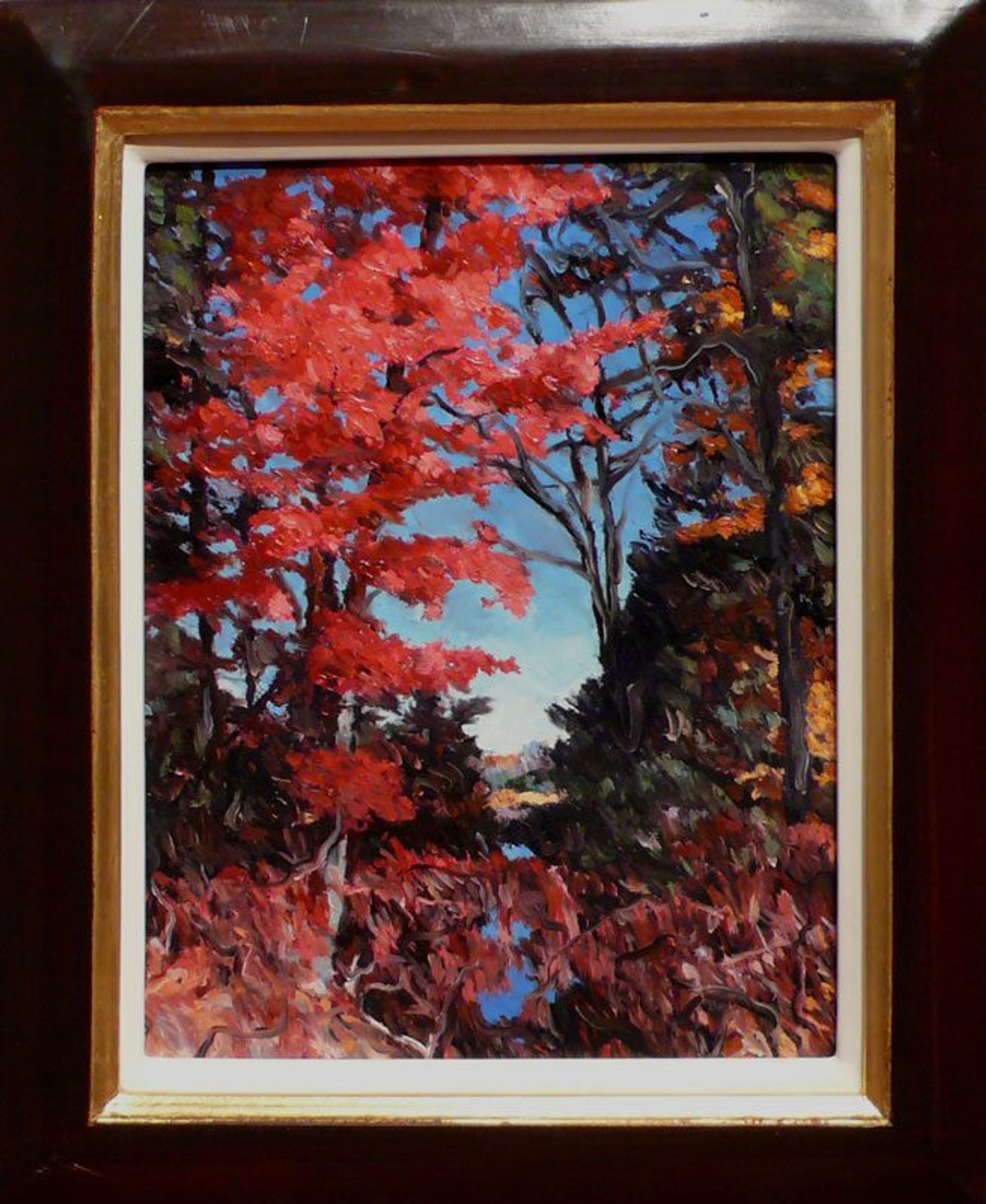 Red Maple (maquet) — oil painting by Brock Irwin