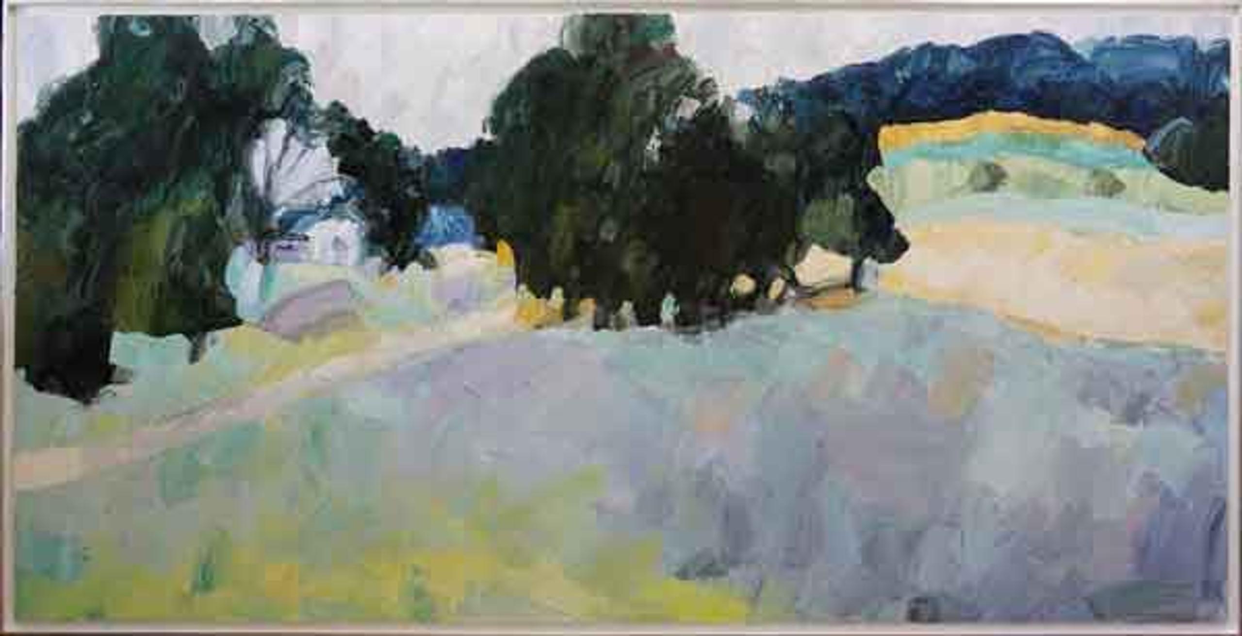 PK Landscape #10