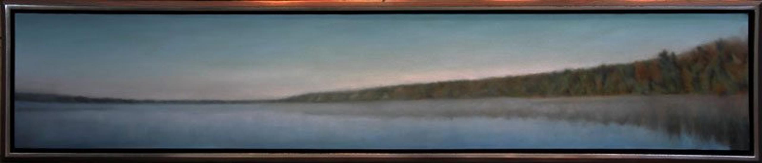 Panoramic #61