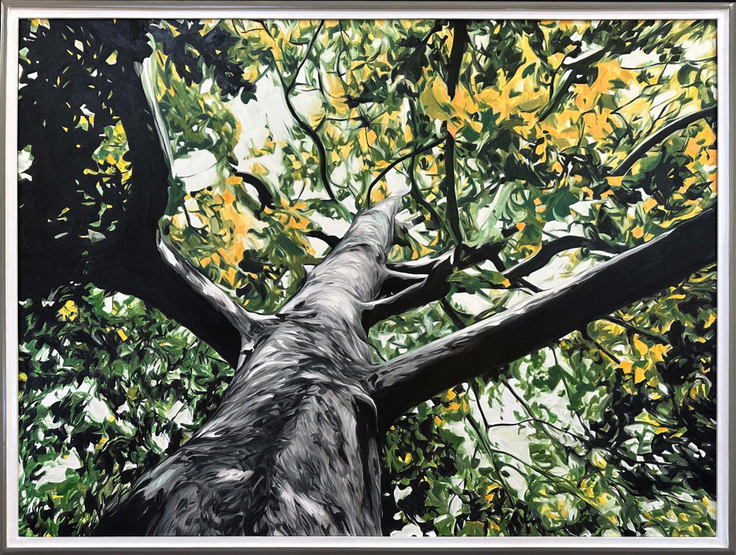 Trees #2