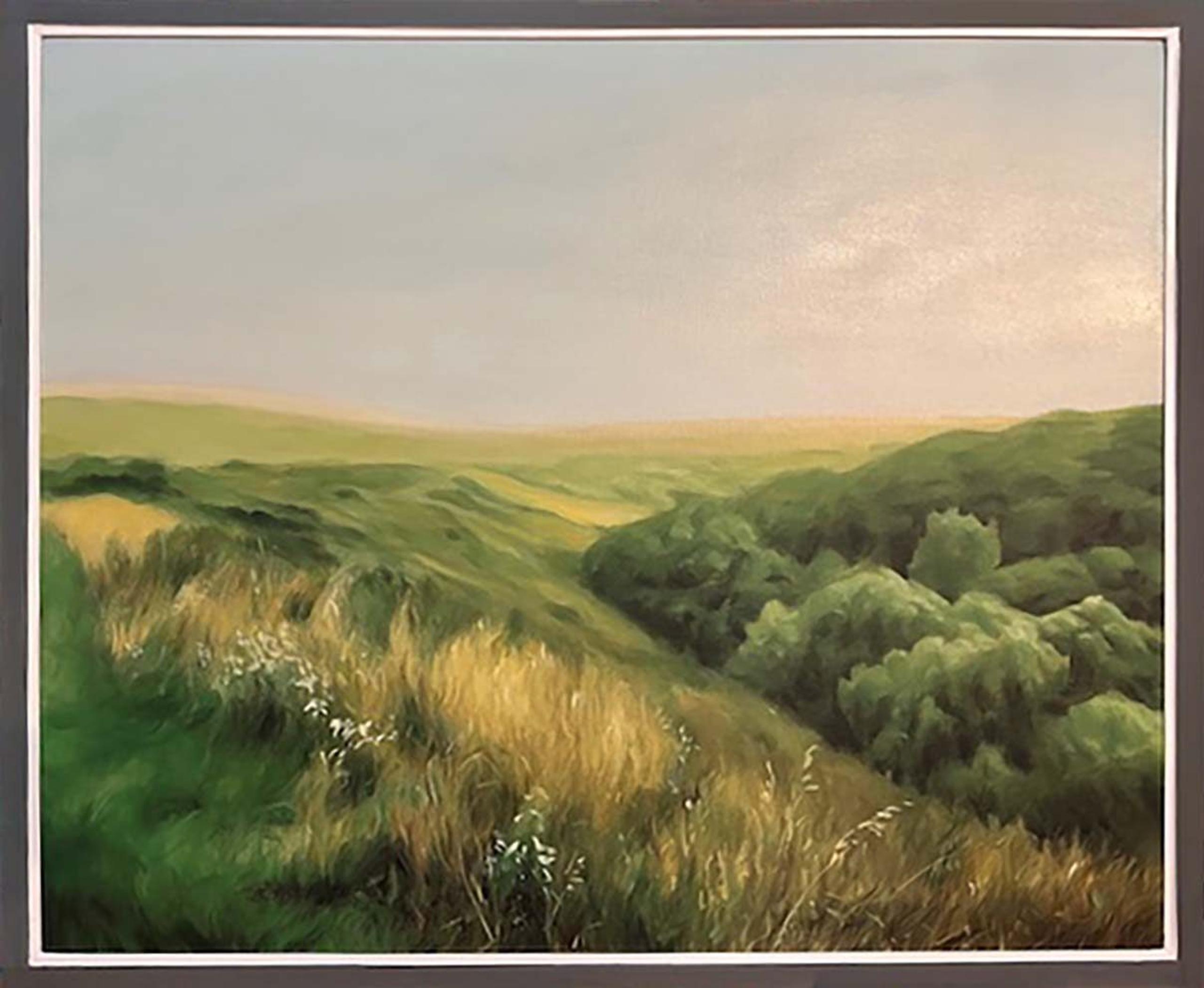 Bluffs #2