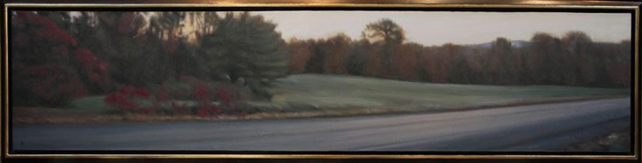 Panoramic #51