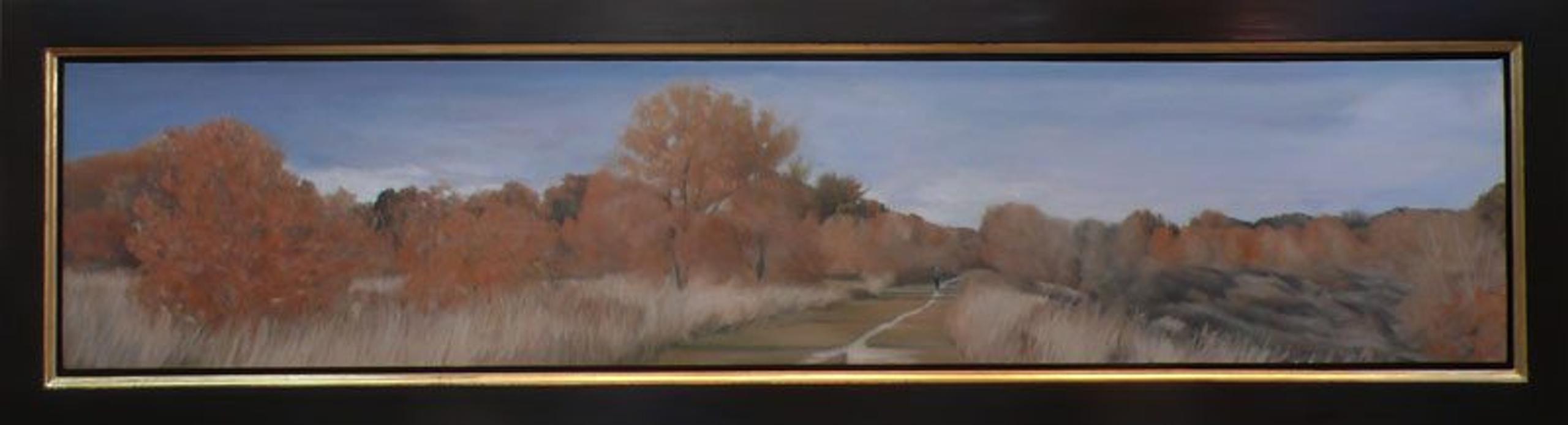 Panoramic #8