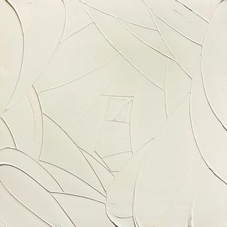 白薔薇