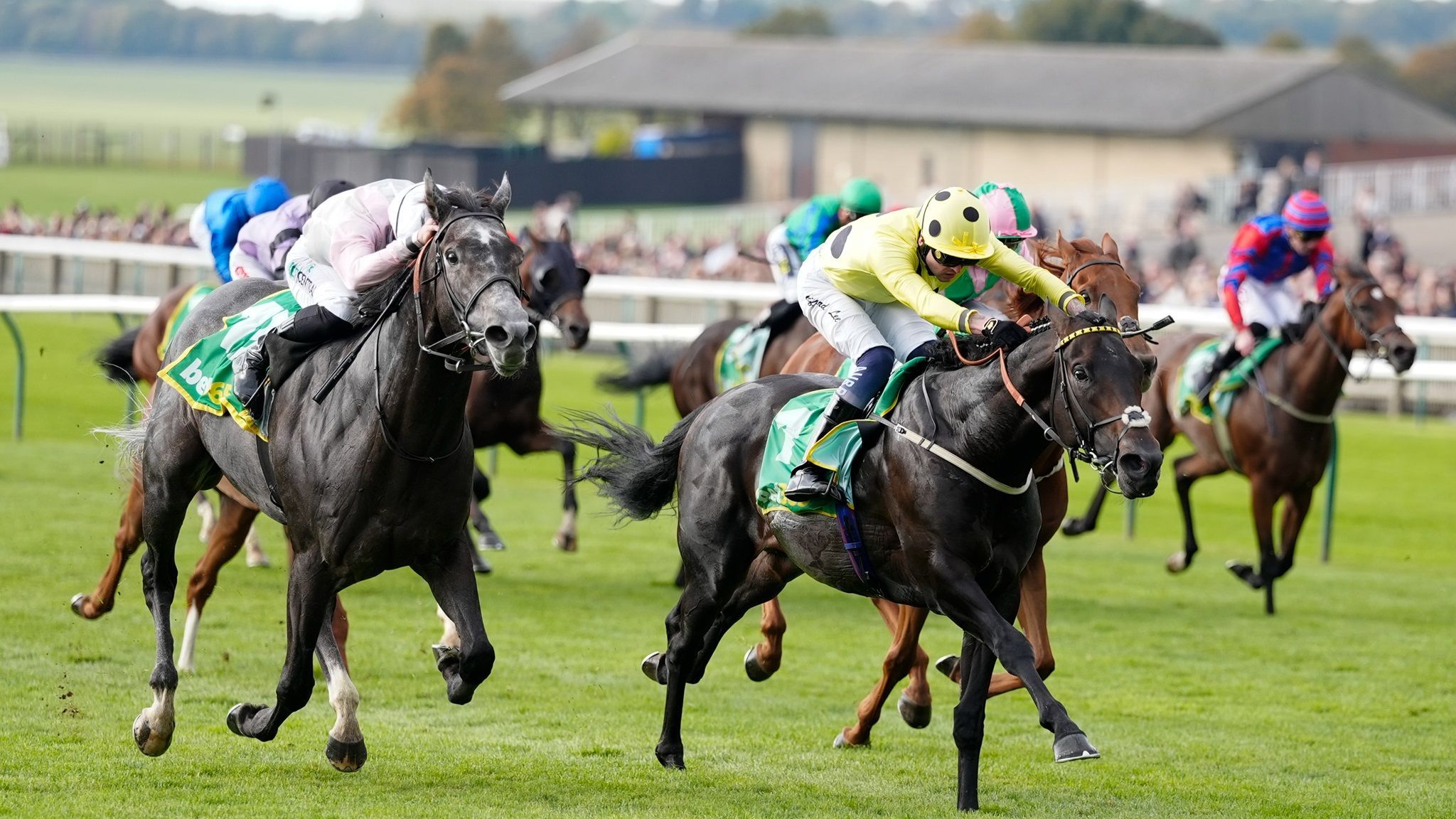 Cambridgeshire Meeting hospitality experiences