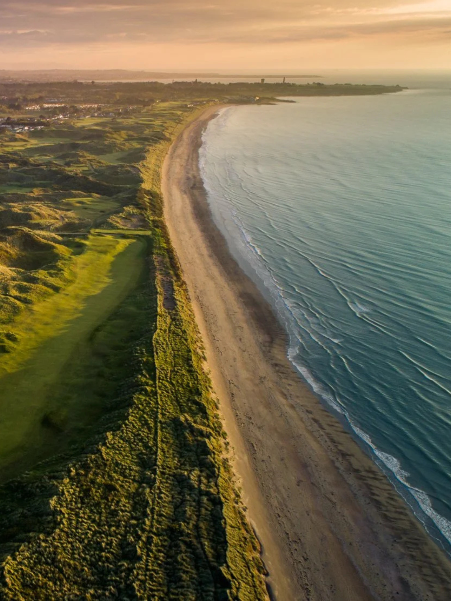 Irish Open category