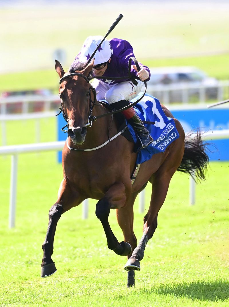 Newmarket Guineas Festival category