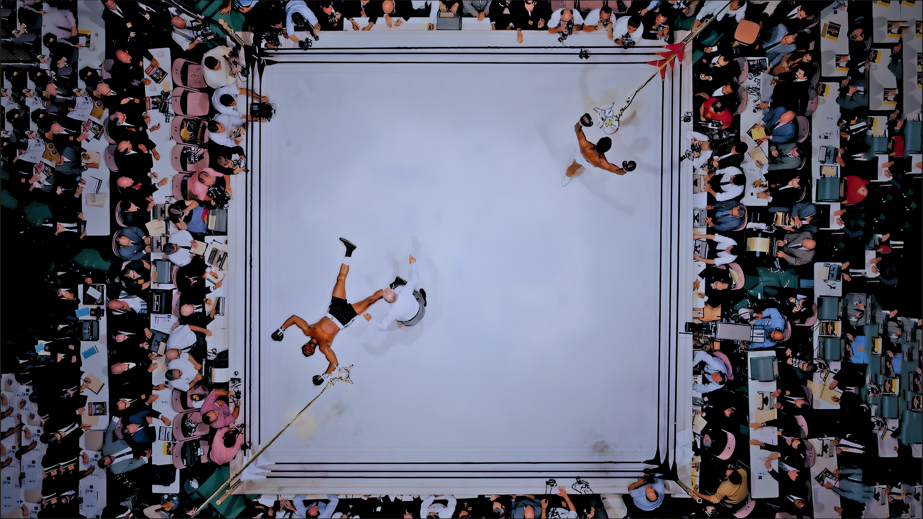 Boxing Exhibition Fights hospitality experiences