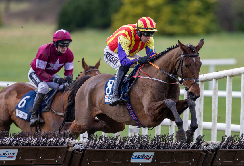 Fairyhouse Easter Festival hospitality experiences
