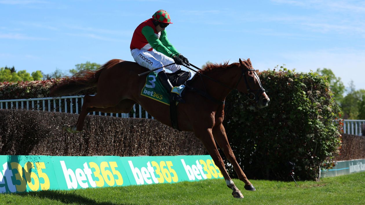 bet365 Jump Finale hospitality experiences