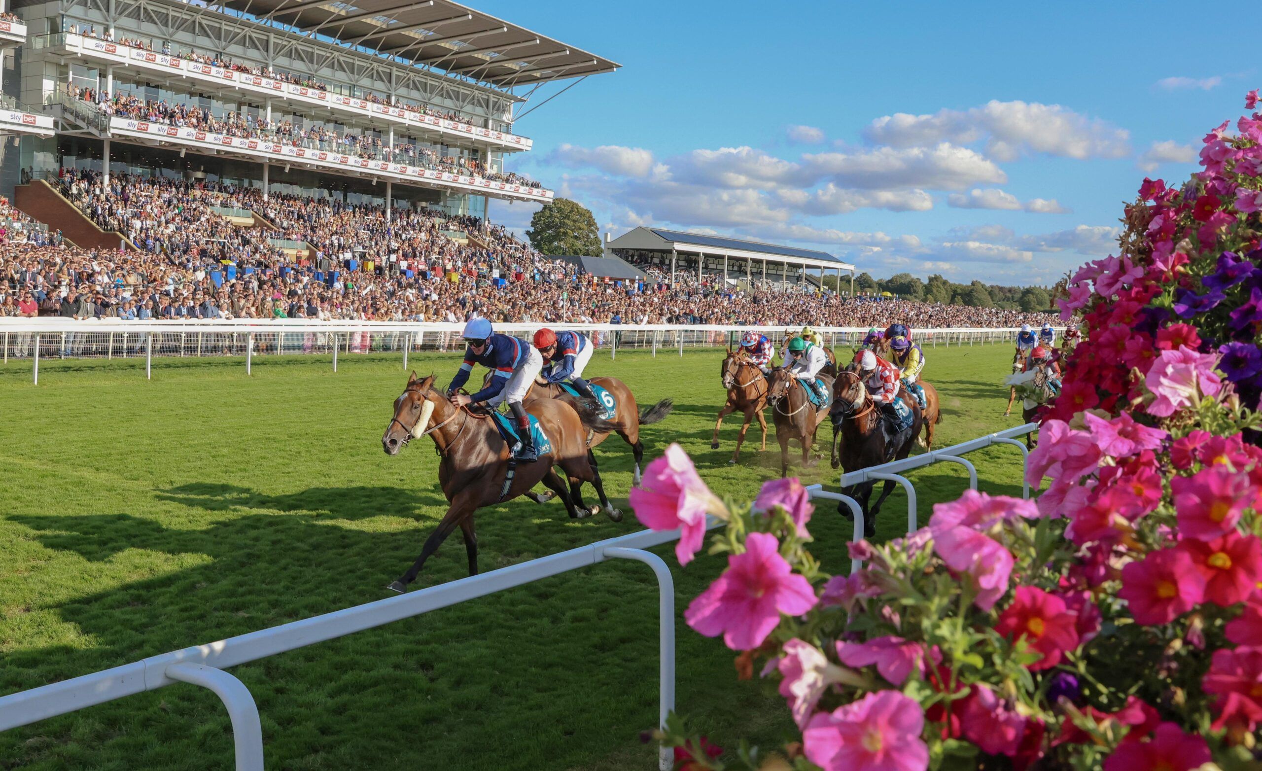 York Ebor Festival hospitality experiences