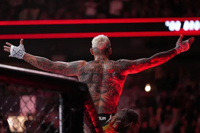 MMA hospitality experiences