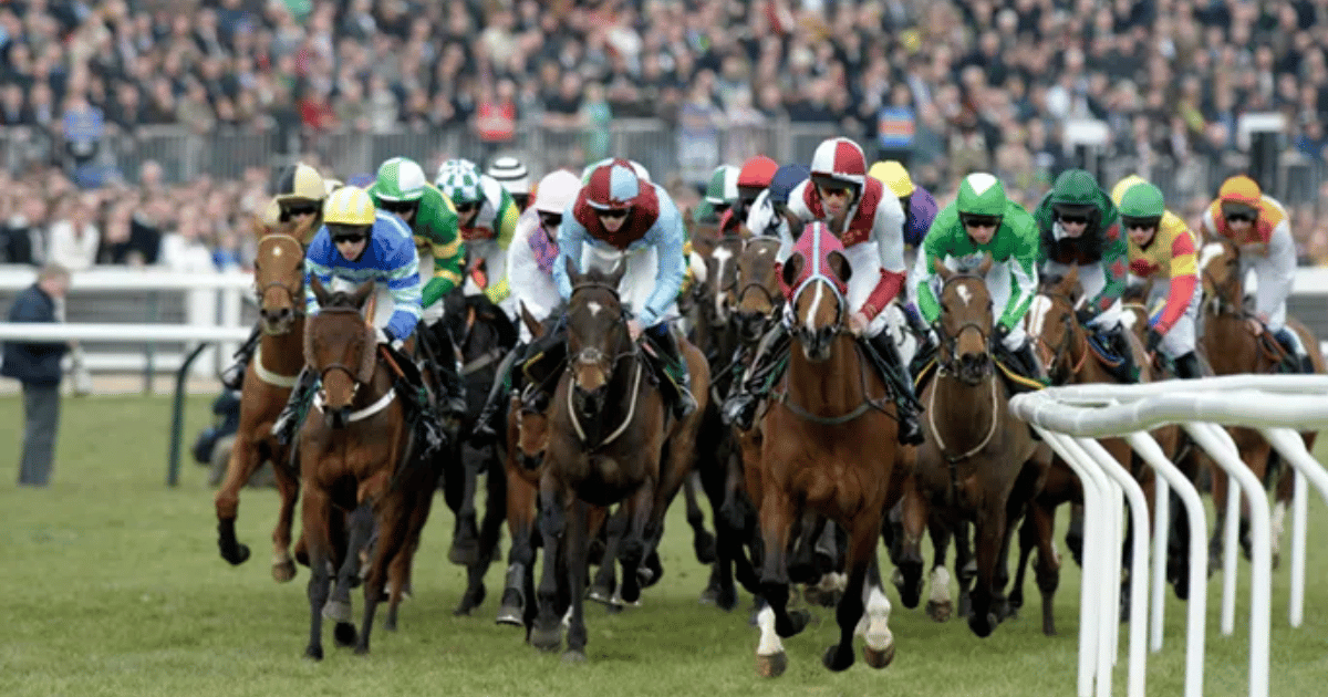 Cheltenham Festival – Champions Day 2026 - Cheltenham Racecourse hospitality