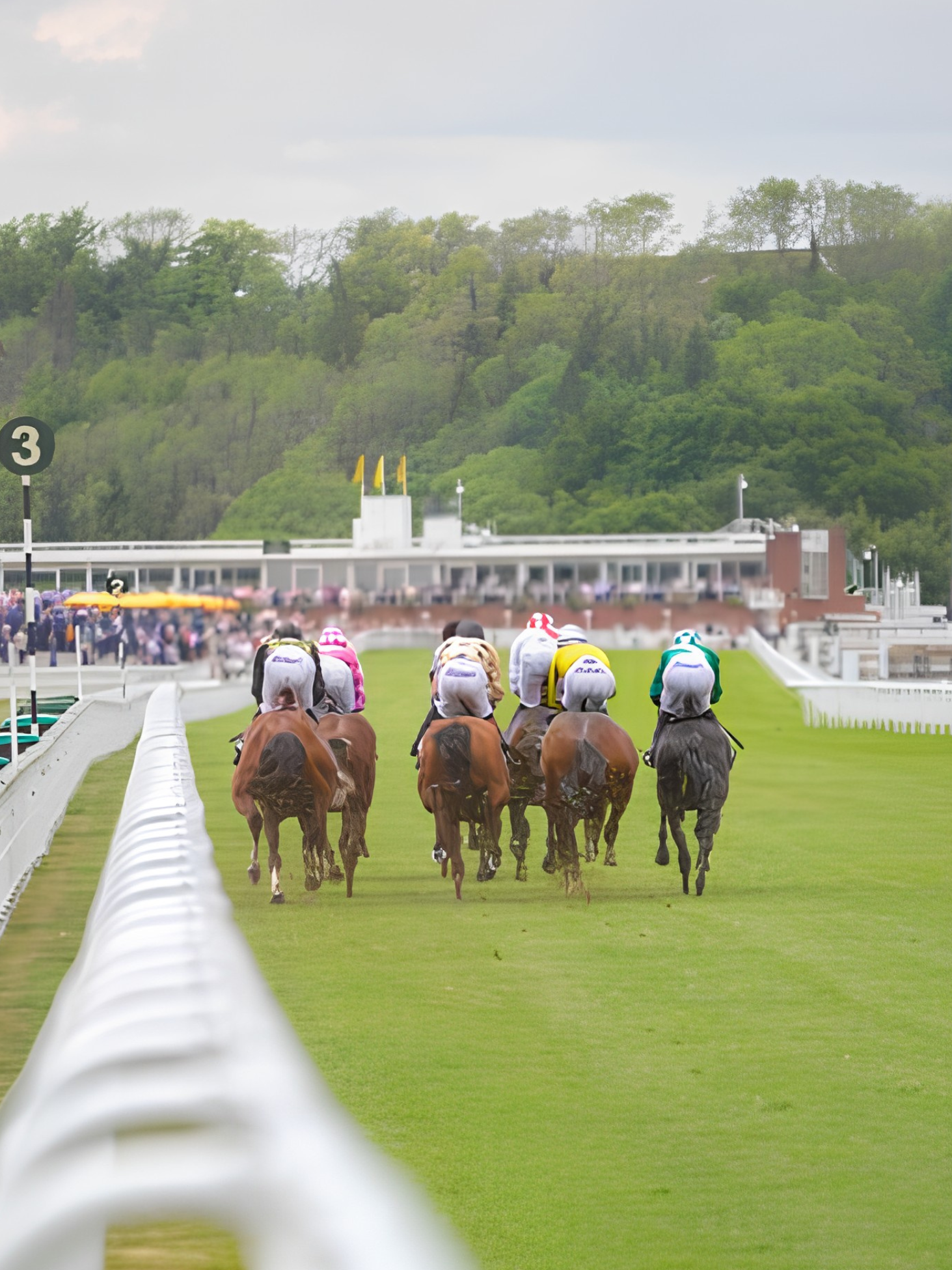 Newmarket July Festival category