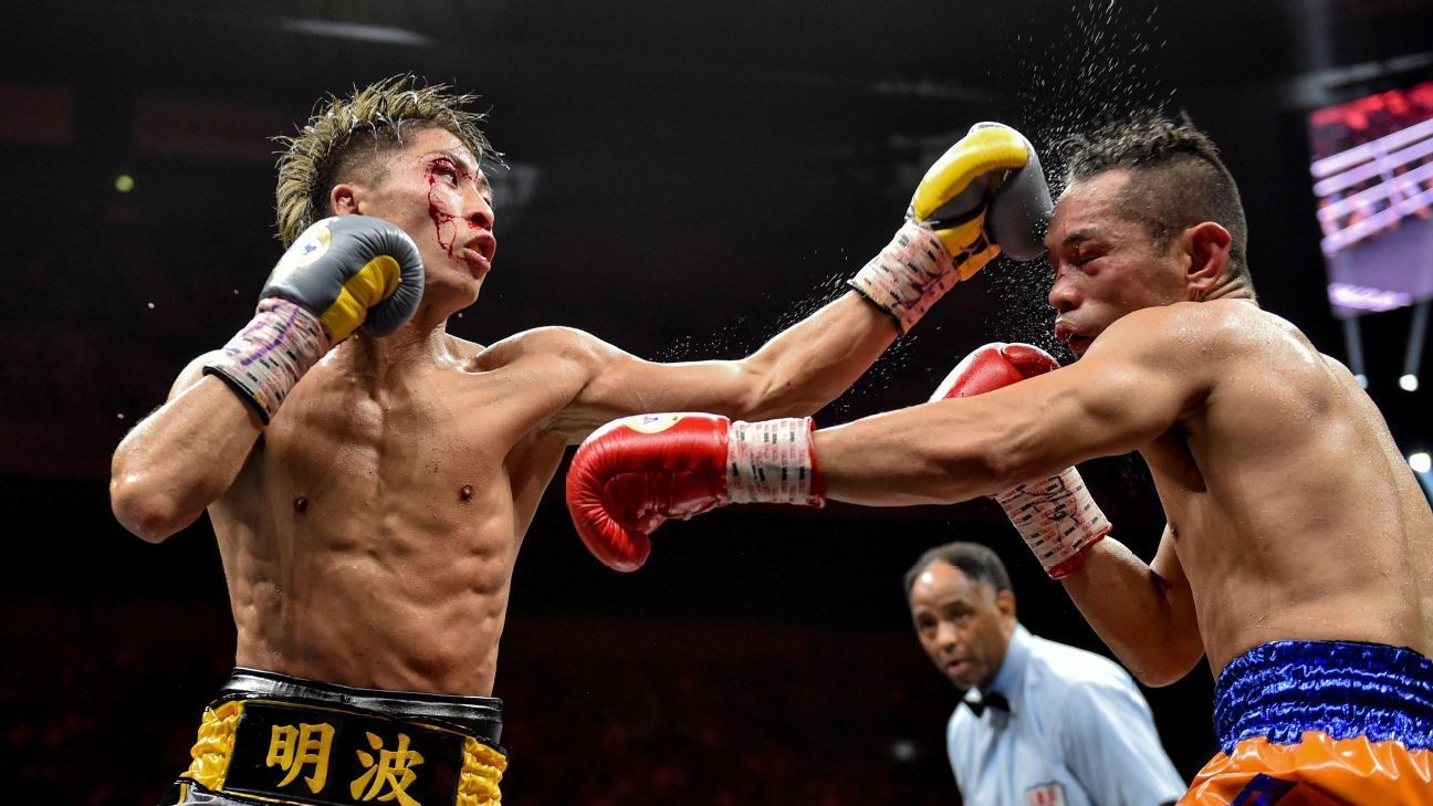 World Championship Title Fights hospitality experiences