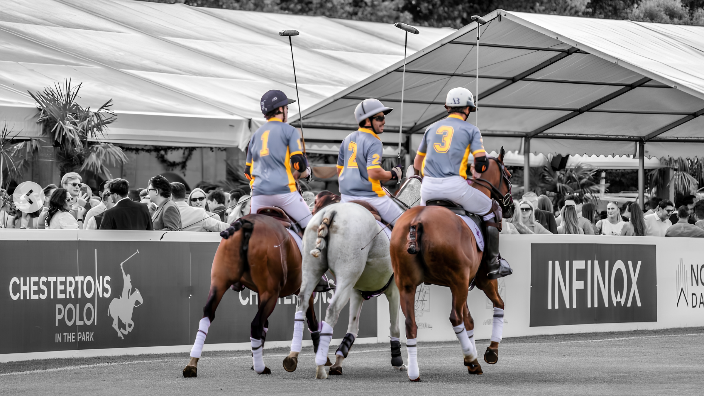 Chestertons Polo in the Park hospitality experiences