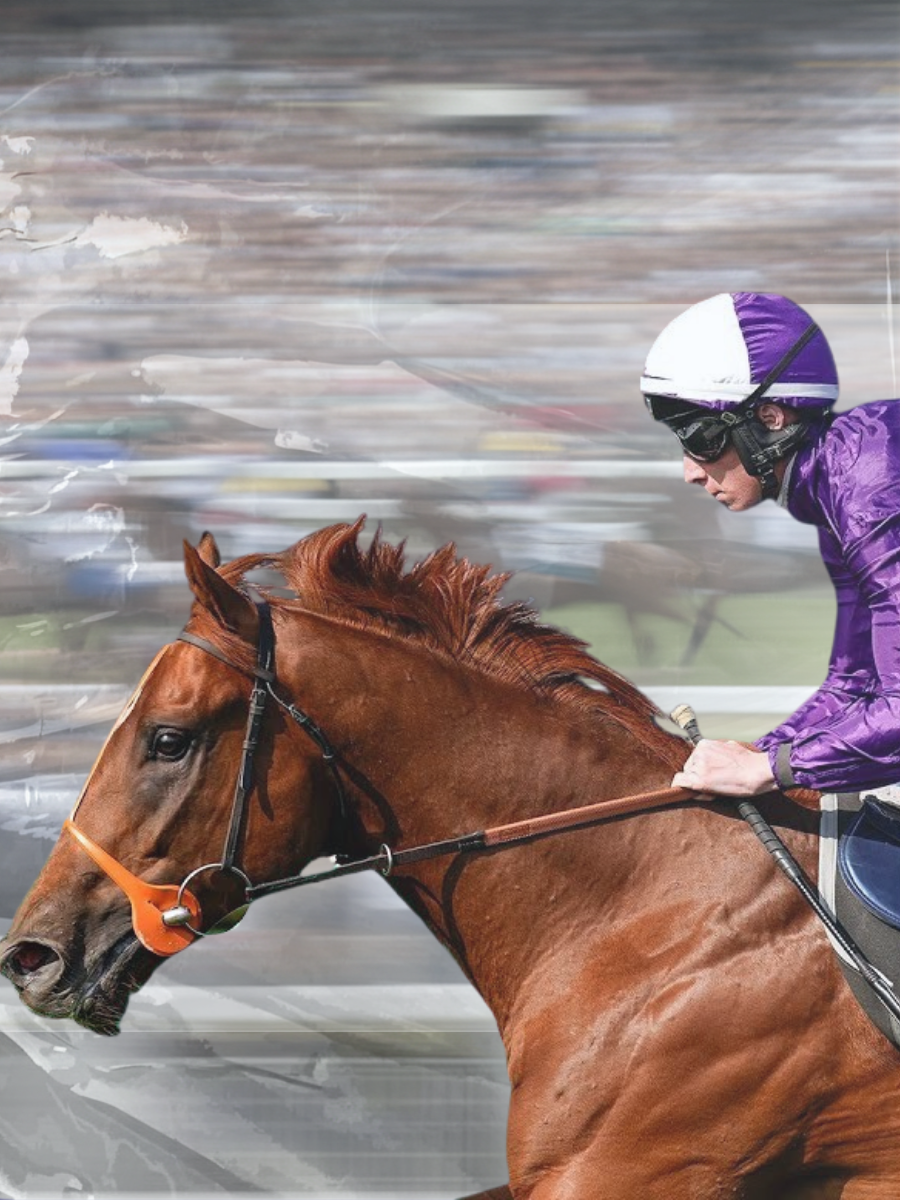 Cambridgeshire Meeting category