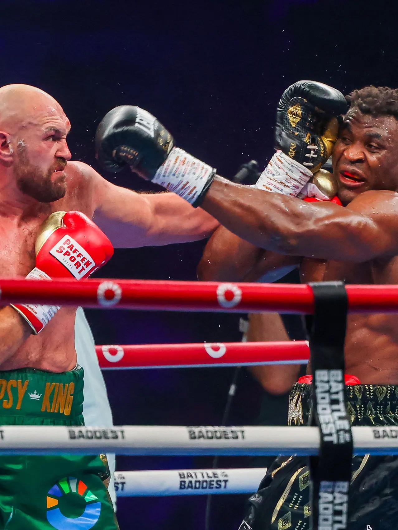 Major Domestic Bouts category