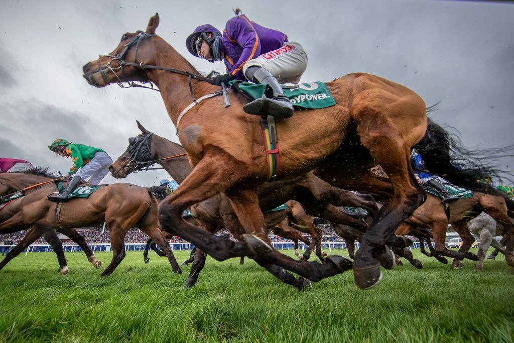 Leopardstown Christmas Festival hospitality experiences