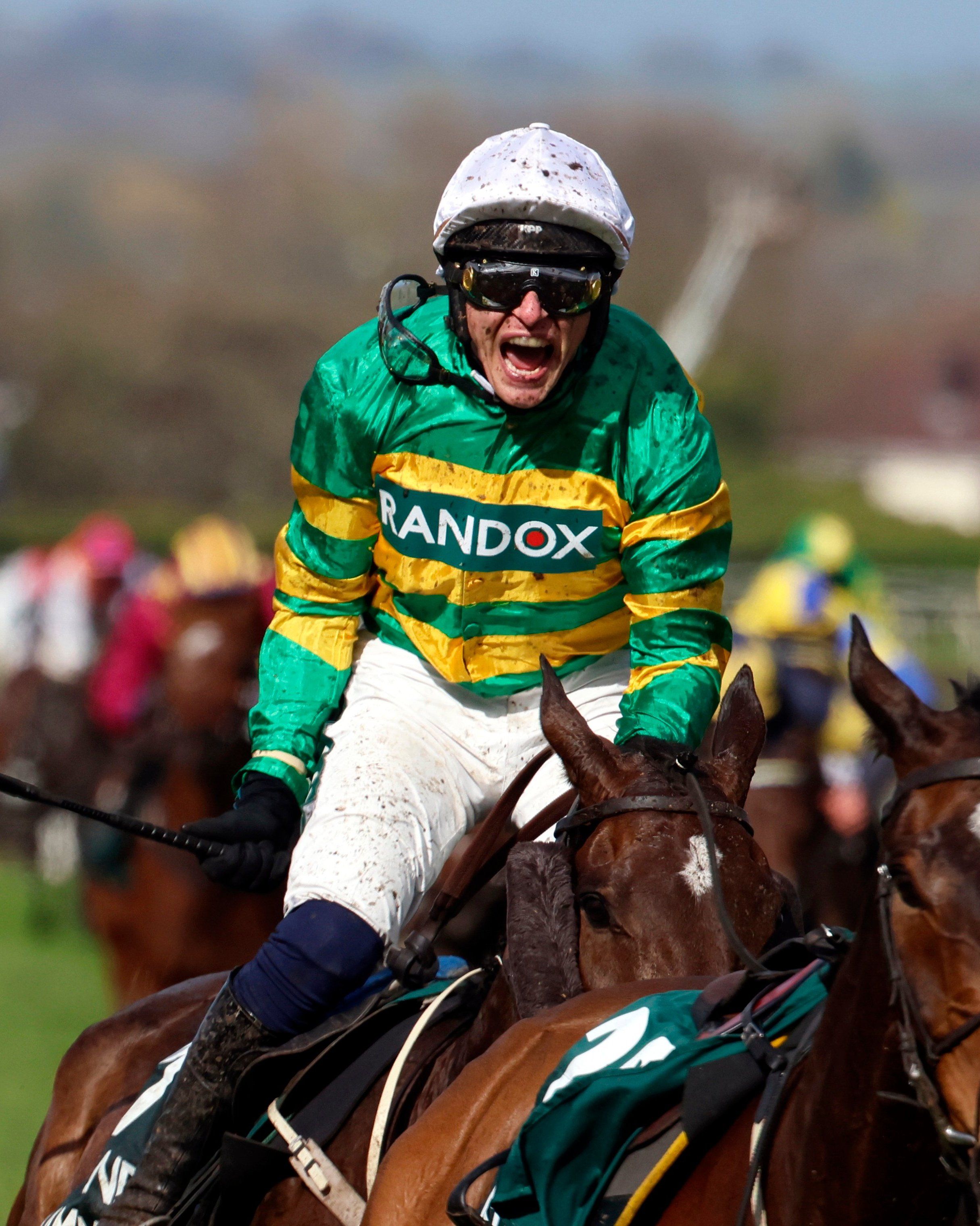 Fairyhouse Easter Festival category