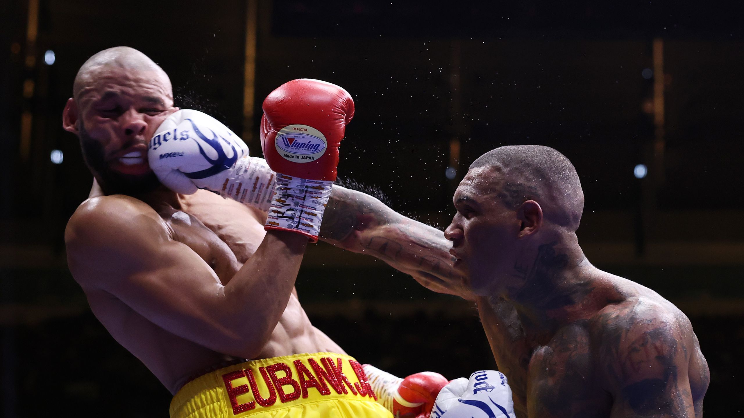 Major Domestic Bouts hospitality experiences