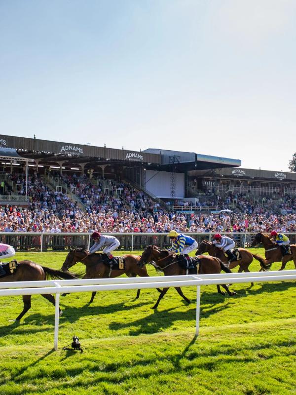 Newmarket Racecourse