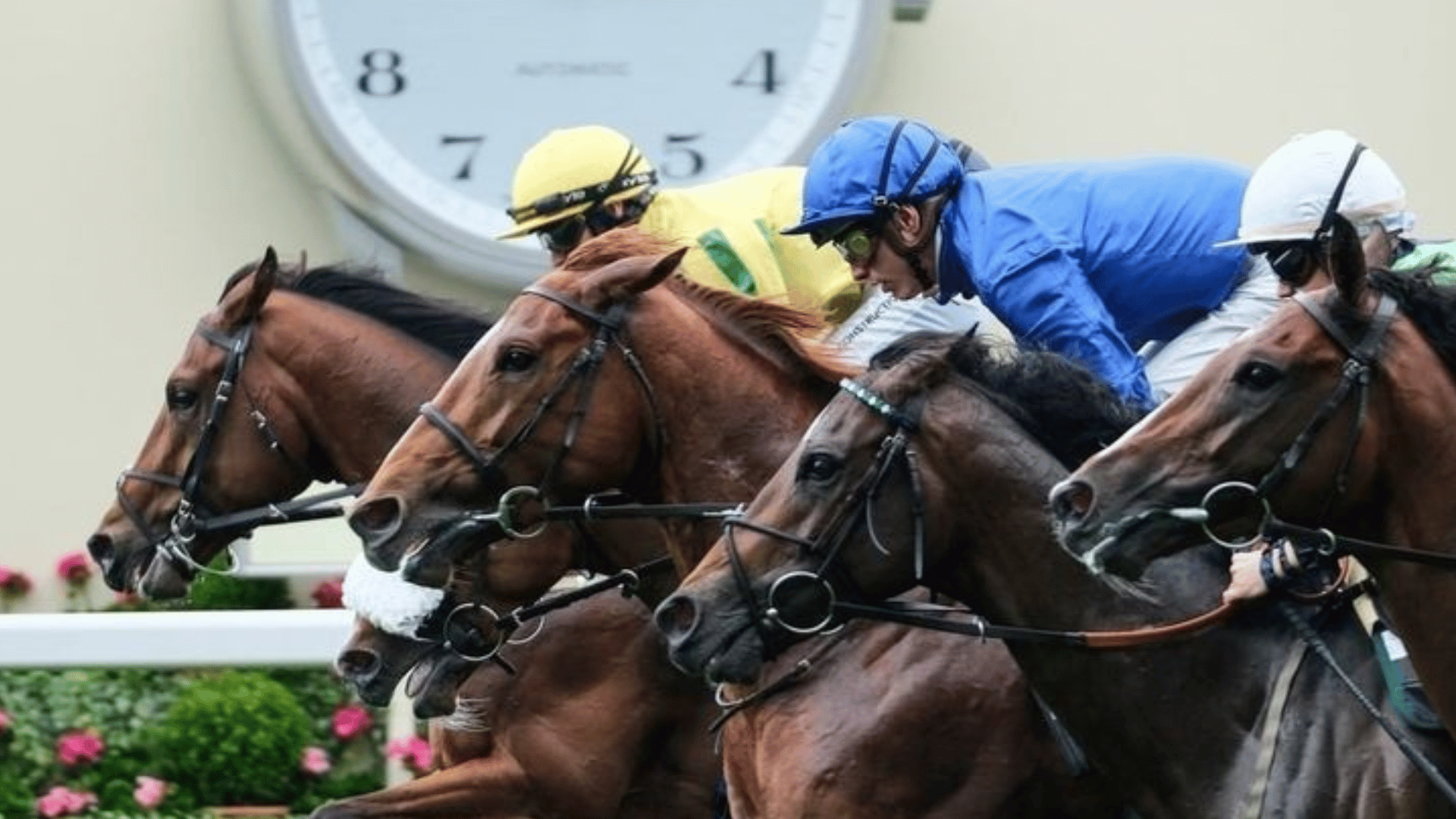 Ascot King George Friday 2027 - Ascot Racecourse hospitality