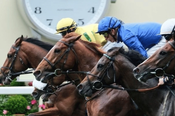 Ascot King George Racing Weekend 2026 - Ascot Racecourse hospitality