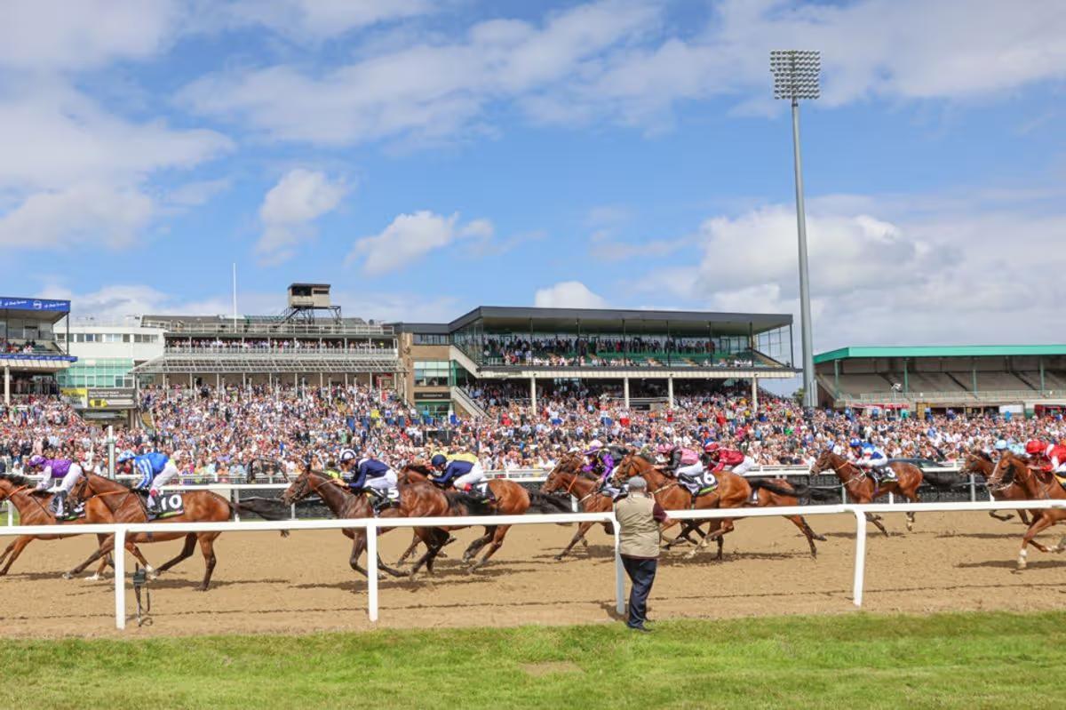 Northumberland Plate Festival hospitality experiences