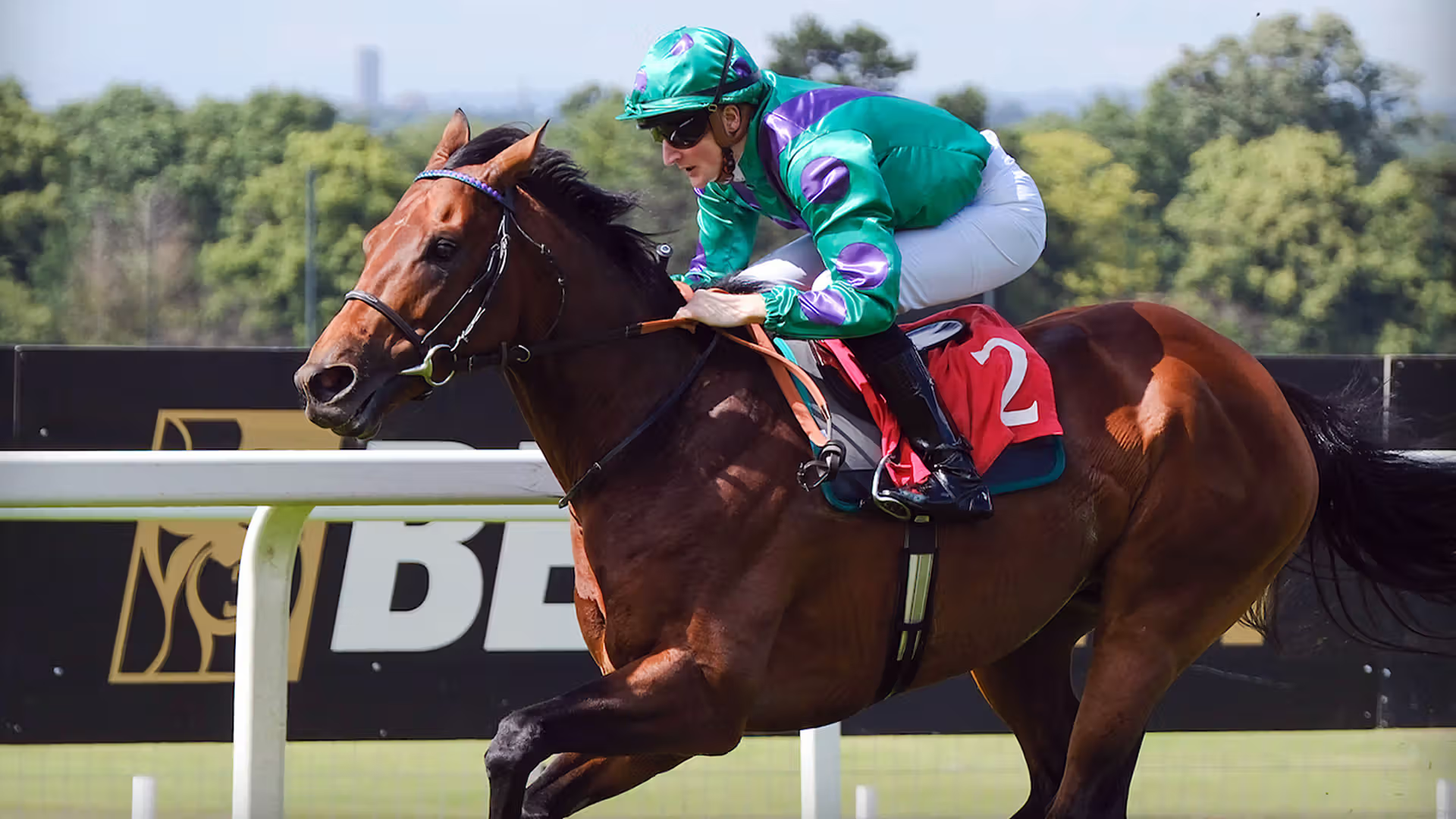 Future Champions Day hospitality experiences
