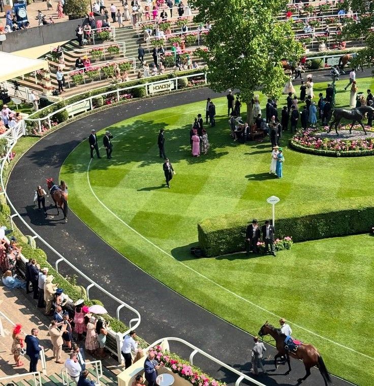 Royal Ascot horse racing: elegantly dressed attendees watch thoroughbreds parade on a sunny day.