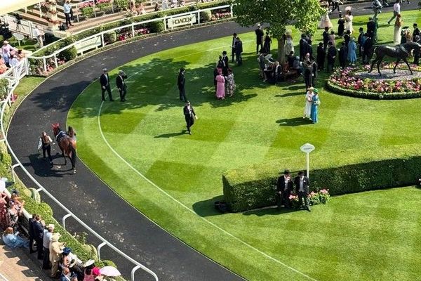 Royal Ascot horse racing: elegantly dressed attendees watch thoroughbreds parade on a sunny day.