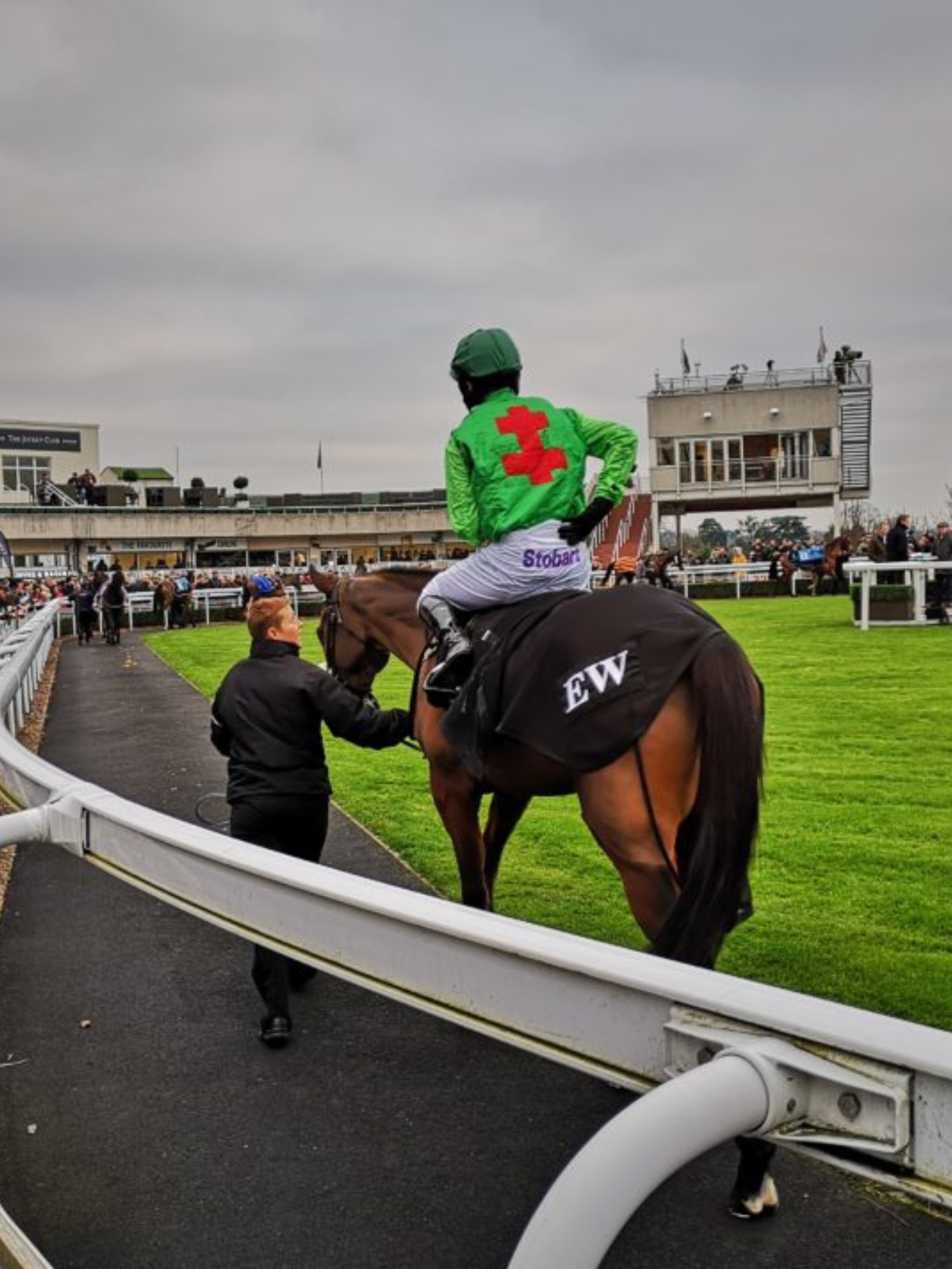 Tingle Creek Christmas Festival category