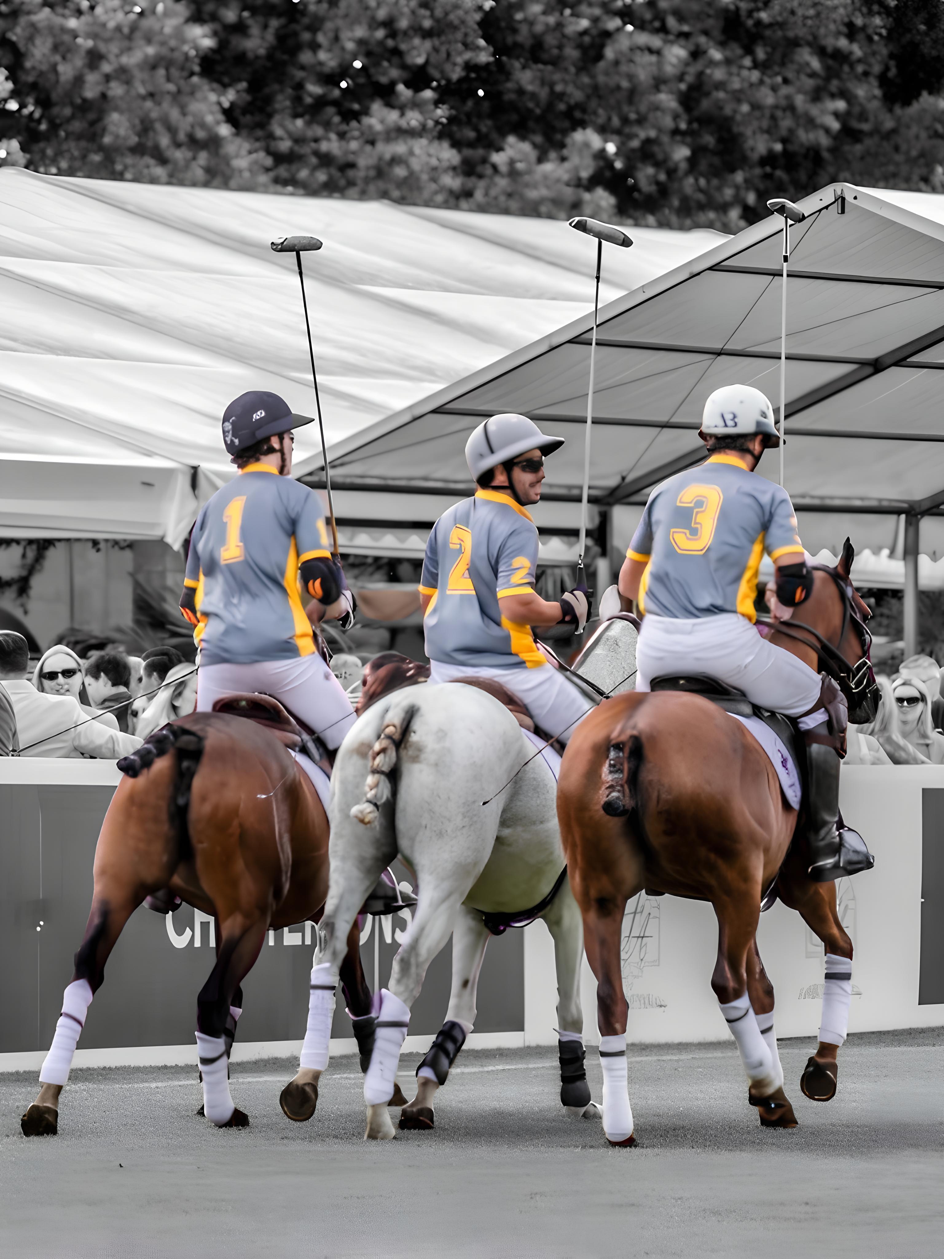 Chestertons Polo in the Park category