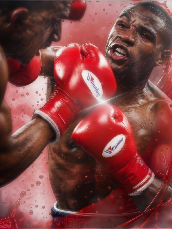 Boxing Exhibition Fights