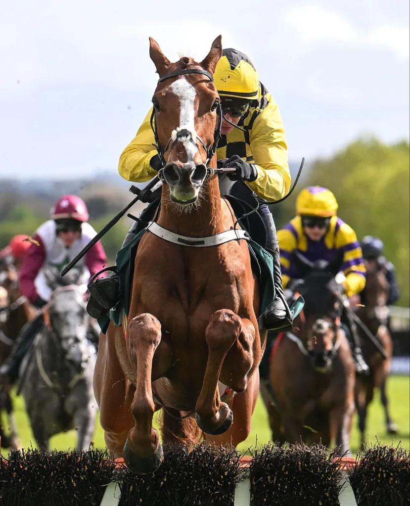 Punchestown Festival category
