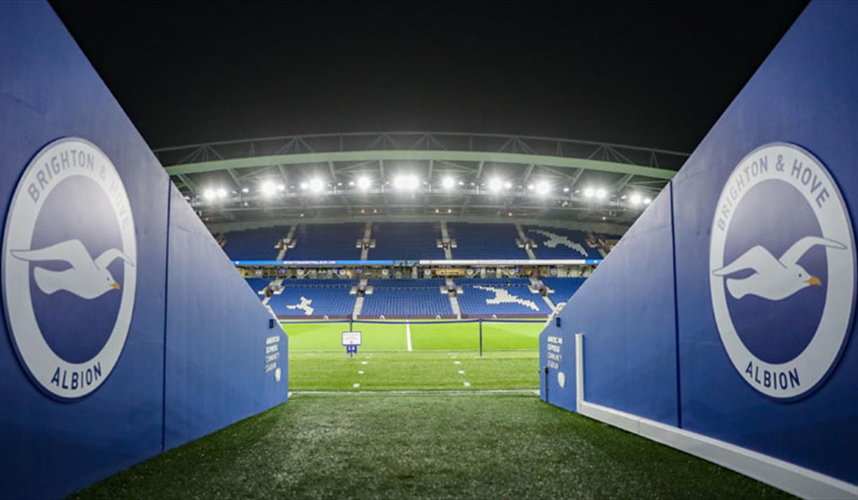 Brighton & Hove Albion FC - Football Team